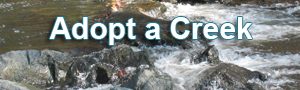 Adopt-a-creek